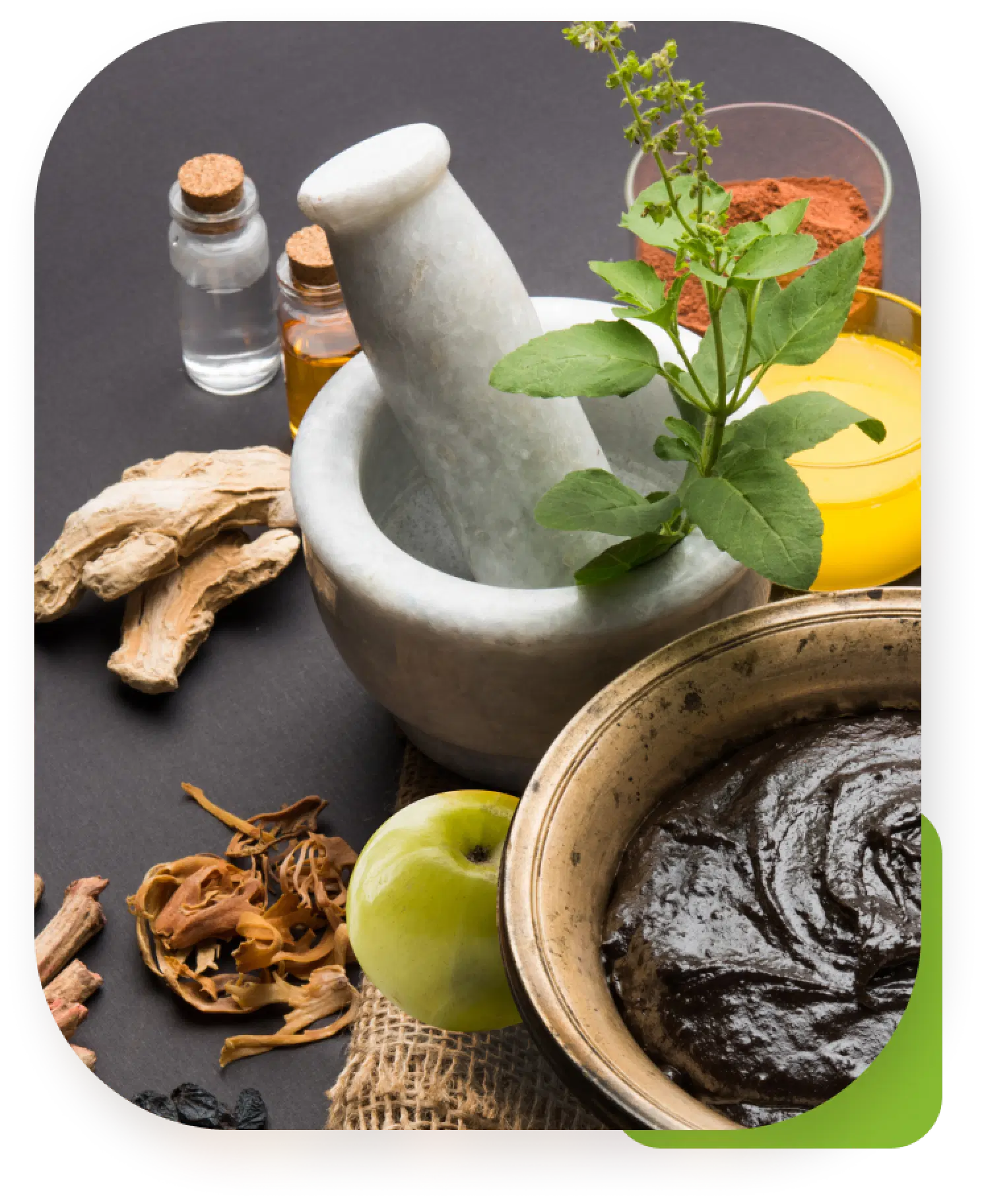 FAQ - Frequently asked questions and wellness consultation guide illustration