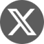 x-icon